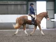Image 37 in NEWTON HALL EQUITATION. DRESSAGE. 26 MAY 2019.