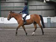 Image 72 in NEWTON HALL EQUITATION. DRESSAGE. 26 MAY 2019.