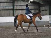 Image 79 in NEWTON HALL EQUITATION. DRESSAGE. 26 MAY 2019.