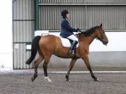 Image 81 in NEWTON HALL EQUITATION. DRESSAGE. 26 MAY 2019.