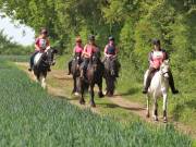 Image 10 in IPSWICH HORSE SOCIETY. SPRING CHARITY RIDE. WINSTON.