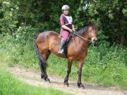 Image 100 in IPSWICH HORSE SOCIETY. SPRING CHARITY RIDE. WINSTON.