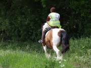 Image 101 in IPSWICH HORSE SOCIETY. SPRING CHARITY RIDE. WINSTON.