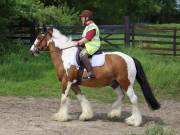 Image 102 in IPSWICH HORSE SOCIETY. SPRING CHARITY RIDE. WINSTON.