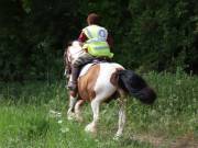 Image 104 in IPSWICH HORSE SOCIETY. SPRING CHARITY RIDE. WINSTON.