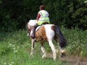 Image 106 in IPSWICH HORSE SOCIETY. SPRING CHARITY RIDE. WINSTON.