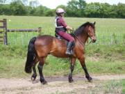 Image 107 in IPSWICH HORSE SOCIETY. SPRING CHARITY RIDE. WINSTON.