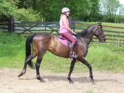 Image 108 in IPSWICH HORSE SOCIETY. SPRING CHARITY RIDE. WINSTON.