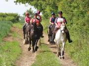 Image 11 in IPSWICH HORSE SOCIETY. SPRING CHARITY RIDE. WINSTON.