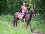 Image 110 in IPSWICH HORSE SOCIETY. SPRING CHARITY RIDE. WINSTON.