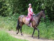 Image 111 in IPSWICH HORSE SOCIETY. SPRING CHARITY RIDE. WINSTON.