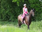 Image 112 in IPSWICH HORSE SOCIETY. SPRING CHARITY RIDE. WINSTON.