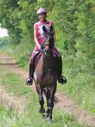 Image 113 in IPSWICH HORSE SOCIETY. SPRING CHARITY RIDE. WINSTON.