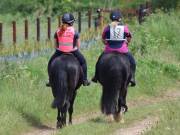 Image 115 in IPSWICH HORSE SOCIETY. SPRING CHARITY RIDE. WINSTON.