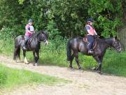 Image 119 in IPSWICH HORSE SOCIETY. SPRING CHARITY RIDE. WINSTON.