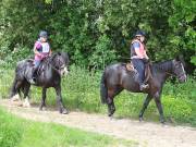 Image 122 in IPSWICH HORSE SOCIETY. SPRING CHARITY RIDE. WINSTON.