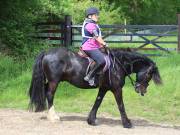 Image 125 in IPSWICH HORSE SOCIETY. SPRING CHARITY RIDE. WINSTON.