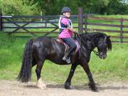 Image 126 in IPSWICH HORSE SOCIETY. SPRING CHARITY RIDE. WINSTON.