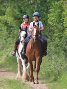 Image 130 in IPSWICH HORSE SOCIETY. SPRING CHARITY RIDE. WINSTON.