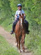 Image 131 in IPSWICH HORSE SOCIETY. SPRING CHARITY RIDE. WINSTON.