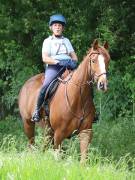 Image 134 in IPSWICH HORSE SOCIETY. SPRING CHARITY RIDE. WINSTON.