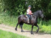 Image 14 in IPSWICH HORSE SOCIETY. SPRING CHARITY RIDE. WINSTON.