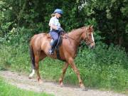 Image 140 in IPSWICH HORSE SOCIETY. SPRING CHARITY RIDE. WINSTON.