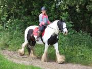 Image 145 in IPSWICH HORSE SOCIETY. SPRING CHARITY RIDE. WINSTON.