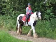 Image 147 in IPSWICH HORSE SOCIETY. SPRING CHARITY RIDE. WINSTON.