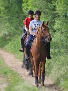 Image 151 in IPSWICH HORSE SOCIETY. SPRING CHARITY RIDE. WINSTON.