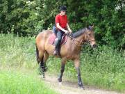 Image 156 in IPSWICH HORSE SOCIETY. SPRING CHARITY RIDE. WINSTON.