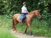 Image 158 in IPSWICH HORSE SOCIETY. SPRING CHARITY RIDE. WINSTON.
