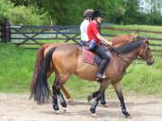 Image 159 in IPSWICH HORSE SOCIETY. SPRING CHARITY RIDE. WINSTON.