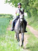 Image 163 in IPSWICH HORSE SOCIETY. SPRING CHARITY RIDE. WINSTON.