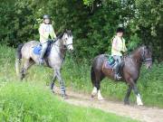 Image 164 in IPSWICH HORSE SOCIETY. SPRING CHARITY RIDE. WINSTON.