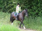 Image 165 in IPSWICH HORSE SOCIETY. SPRING CHARITY RIDE. WINSTON.