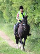 Image 168 in IPSWICH HORSE SOCIETY. SPRING CHARITY RIDE. WINSTON.