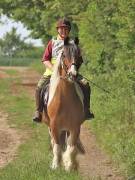 Image 17 in IPSWICH HORSE SOCIETY. SPRING CHARITY RIDE. WINSTON.