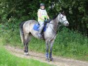 Image 172 in IPSWICH HORSE SOCIETY. SPRING CHARITY RIDE. WINSTON.