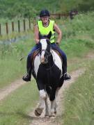 Image 180 in IPSWICH HORSE SOCIETY. SPRING CHARITY RIDE. WINSTON.