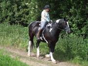 Image 185 in IPSWICH HORSE SOCIETY. SPRING CHARITY RIDE. WINSTON.