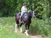 Image 187 in IPSWICH HORSE SOCIETY. SPRING CHARITY RIDE. WINSTON.