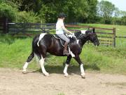 Image 188 in IPSWICH HORSE SOCIETY. SPRING CHARITY RIDE. WINSTON.