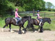 Image 19 in IPSWICH HORSE SOCIETY. SPRING CHARITY RIDE. WINSTON.