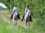 Image 26 in IPSWICH HORSE SOCIETY. SPRING CHARITY RIDE. WINSTON.