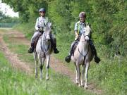 Image 27 in IPSWICH HORSE SOCIETY. SPRING CHARITY RIDE. WINSTON.