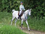 Image 28 in IPSWICH HORSE SOCIETY. SPRING CHARITY RIDE. WINSTON.