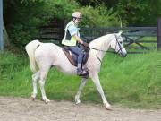 Image 29 in IPSWICH HORSE SOCIETY. SPRING CHARITY RIDE. WINSTON.