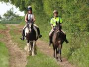 Image 3 in IPSWICH HORSE SOCIETY. SPRING CHARITY RIDE. WINSTON.