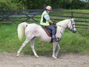 Image 30 in IPSWICH HORSE SOCIETY. SPRING CHARITY RIDE. WINSTON.